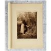 Image 1 : Edward Curtis Photogravure Gathering Arrow Bush