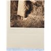 Image 2 : Edward Curtis Photogravure Gathering Arrow Bush