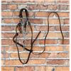 Image 2 : Cowboy Headstall and Horse Bit