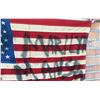 Image 5 : Marilyn Manson Spray Painted US Flag