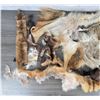 Image 3 : Collection of Assorted Fur Pelts for Crafts