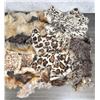 Image 5 : Collection of Assorted Fur Pelts for Crafts