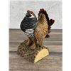 Image 1 : George Kester Spruce Grouse Wood Carving