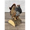 Image 2 : George Kester Spruce Grouse Wood Carving