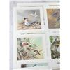 Image 2 : Eric Shepherd Bird Print Set