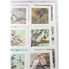 Image 4 : Eric Shepherd Bird Print Set