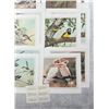 Image 5 : Eric Shepherd Bird Print Set