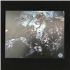 Image 1 : TOM HARDY SIGNED 8X10 PHOTO KB AUTHENTICS COA