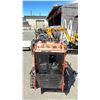 Image 2 : MMS SKID STEER LOADER MS36CJ 13.5 HP, 1985 LBS MACHINE WEIGHT, 0.12M3 BUCKET CAPACITY, 770 LBS