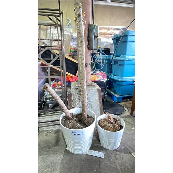 PAIR OF WHITE CERAMIC PLANT POTS