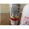 Image 3 : lot of two fire extinguishers.