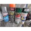 Image 3 : Assorted spray cans of paint et cetera.