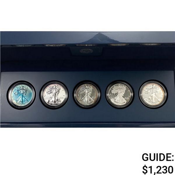 2011 American Eagle 25TH Anniv. Silver 5 Coin Set