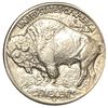 Image 2 : 1913-S Type 1 Buffalo Nickel