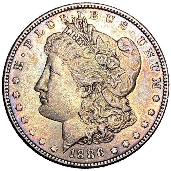 1886 Morgan Silver Dollar
