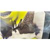 Image 3 : SHREK PHOTO AUTOGRAPHED BY EDDIE MURPHY & MIKE MYERS WITH COA