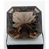 Image 2 : COLLECTORS - 361.5 CT FANCY SMOKE ROCK QUARTZ GEMSTONE ($30,365 APPRAISAL, APPRAISAL NOT