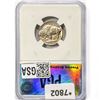 Image 2 : 1913-D Buffalo Nickel PGA MS64+ Type 2