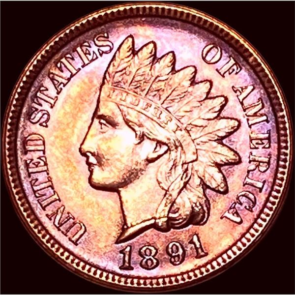 1891 Indian Head Cent UNCIRCULATED