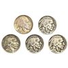 1913-1926 KEY DATE Buffalo Nickel Lot [5 Coins]