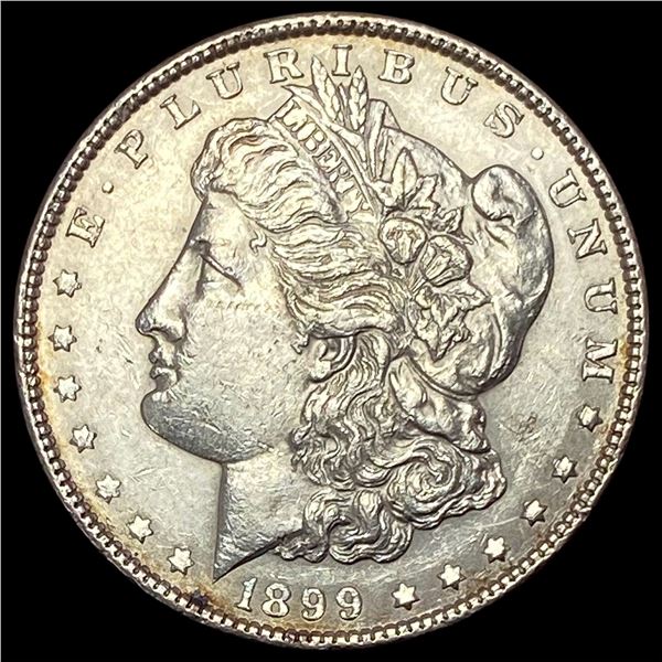1899 Morgan Silver Dollar UNCIRCULATED