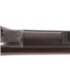 Image 13 : Indian Wars U.S. Springfield Trapdoor & Bayonet