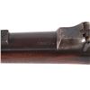 Image 16 : Indian Wars U.S. Springfield Trapdoor & Bayonet