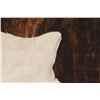 Image 11 : Dark Brindle Tri Color Brown Premium Cowhide