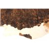 Image 4 : Dark Brindle Tri Color Brown Premium Cowhide