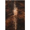 Image 8 : Dark Brindle Tri Color Brown Premium Cowhide