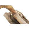 Image 14 : Ca. 1860 Comanche Bone & Wood Rawhide Saddle