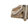 Image 4 : Ca. 1860 Apache Rawhide Saddle Beaded Stirrups