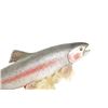 Image 10 : Michael Scott Hand Carved Jumping Rainbow Trout