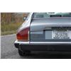 Image 10 : 1986 Jaguar XJS V12 Coup - 5.3 liter
