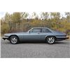 Image 8 : 1986 Jaguar XJS V12 Coup - 5.3 liter