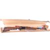 Image 20 : Daisy Model 2202 .22 LR Bolt Action Rifle With Box