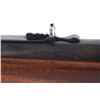 Image 18 : Winchester Model 1886 Extra Lightweight .33 Rifle