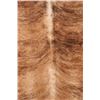 Image 10 : Dark Brown Brindle Tiger Striped Premium Cowhide
