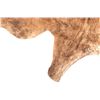 Image 7 : Dark Brown Brindle Tiger Striped Premium Cowhide