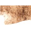 Image 8 : Dark Brown Brindle Tiger Striped Premium Cowhide
