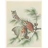 Image 9 : John James Audubon's Bird Paintings Book Set