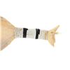 Image 6 : 20th C. Crow Bison Scapula Beaded Bone