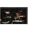 Image 3 : Twelve Early Fishing Lures In Display Case 1960-80