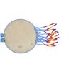 Image 4 : Crow Tribe Beaded Medallion Necklace & Brooch