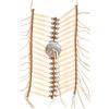 Image 3 : Crow Women's & Child's Hair Pipe Bead Breastplates