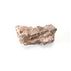 Image 12 : Holbrook, Arizona Triassic Petrified Wood Samples