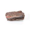 Image 3 : Holbrook, Arizona Triassic Petrified Wood Samples