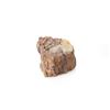 Image 5 : Holbrook, Arizona Triassic Petrified Wood Samples