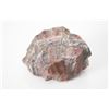 Image 6 : Holbrook, Arizona Triassic Petrified Wood Samples