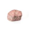 Image 7 : Holbrook, Arizona Triassic Petrified Wood Samples